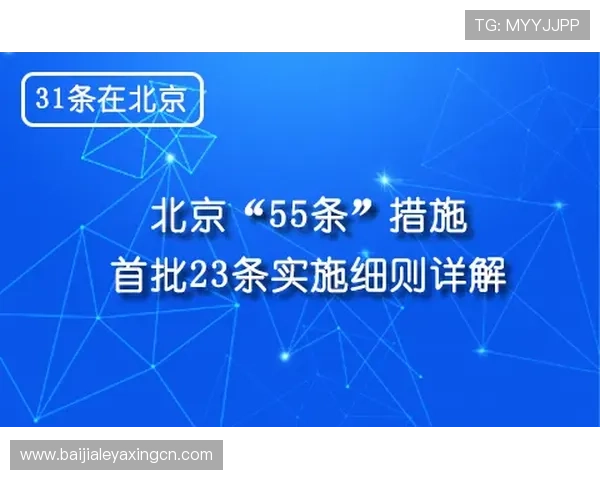全面解析真人视讯国际站的安全保障措施与玩家权益保护策略