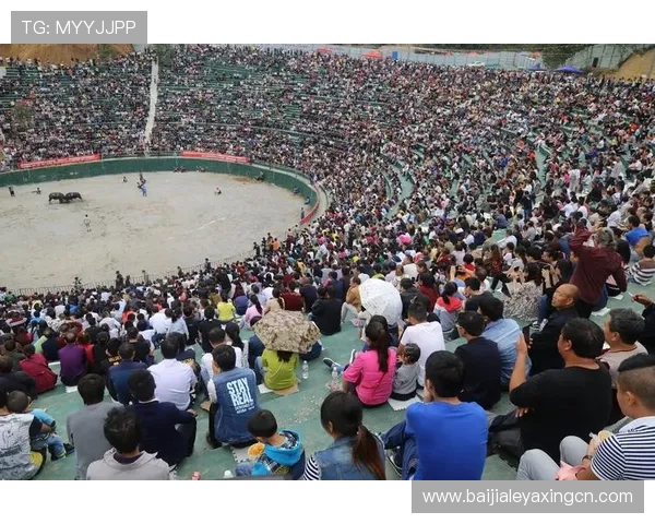 真人斗牛下载平台安全稳定，轻松体验高品质线上斗牛娱乐