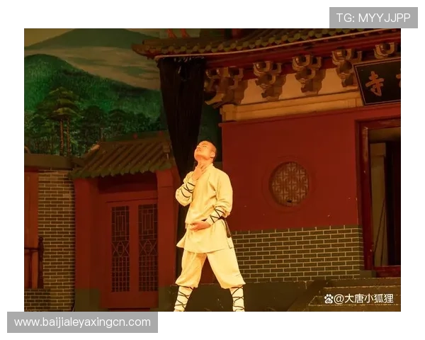 腾龙真人现场活动精彩回顾让你不出门也能感受到现场武术的震撼魅力