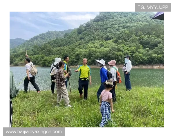 全面解析BG大游真人登录线路的稳定性提升措施与常见问题解决方案